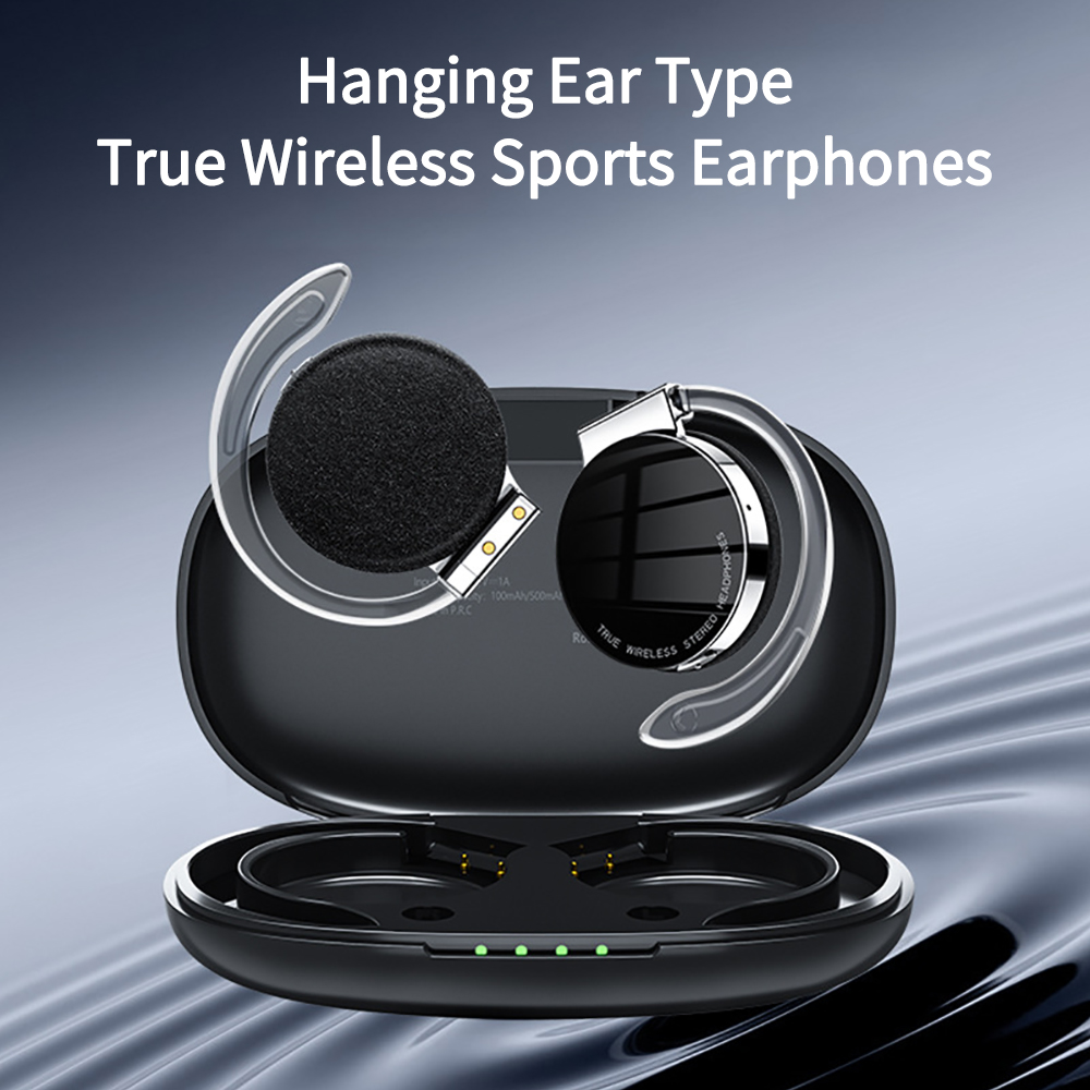 F2 TWS Kopfhörer mit Mikrofone – Earphone Sport Hook Bewertung und Preis